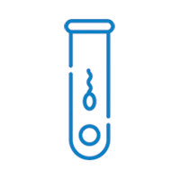 In vitro fertilization (IVF)